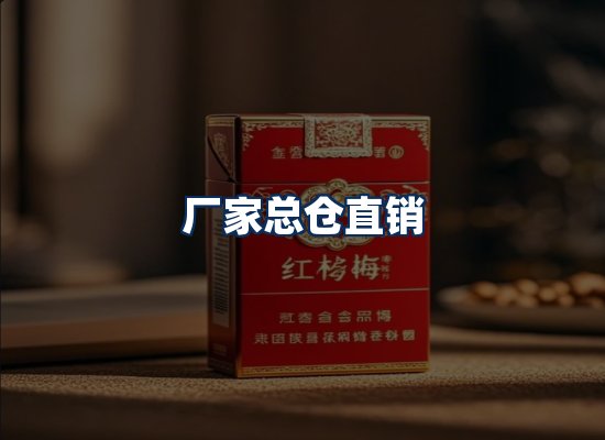 专业团队办公环境